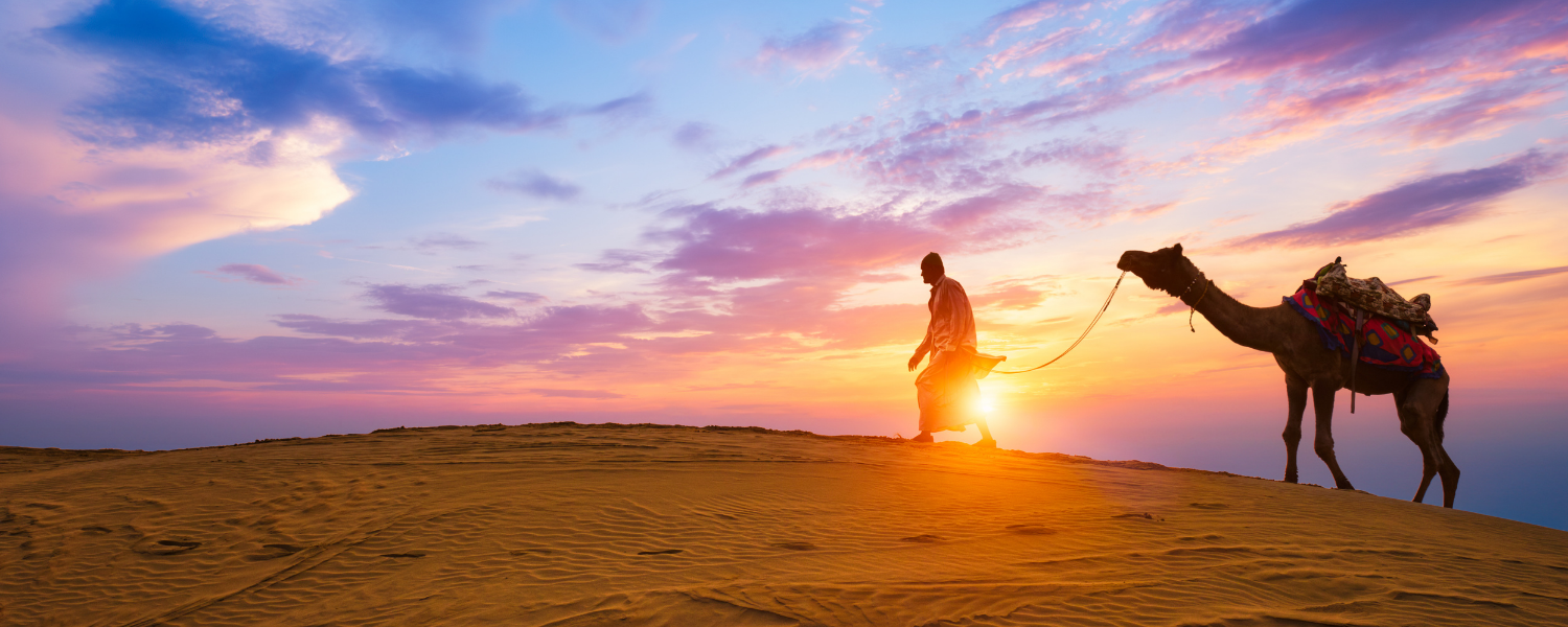 Customized Rajasthan Tour destination view